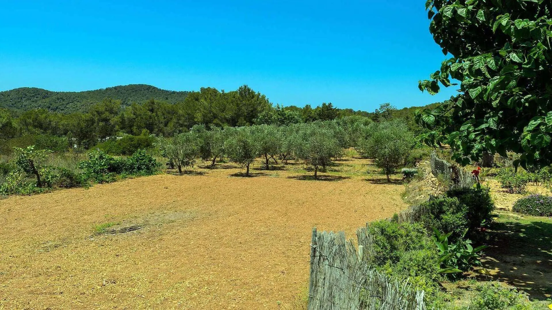 New! Villa Can Lluis Benirras سانت جون دي لابريتجا